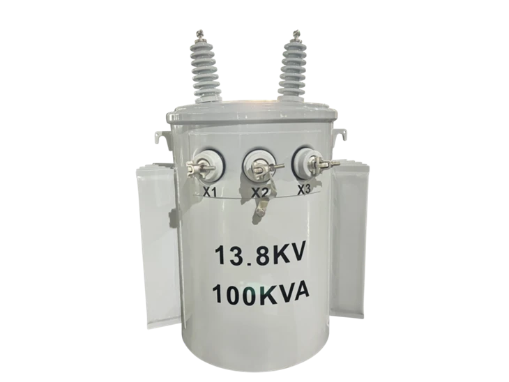 Transformador de 100 kVA montado en poste-13,8/0,24 kV|Guayana 2025